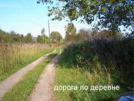 Дом в тихой деревне Новорижское ш., Тверская область, Россия, Тверская область, Ржевский муниципальный округ, деревня Семёновское (сельское поселение Победа)